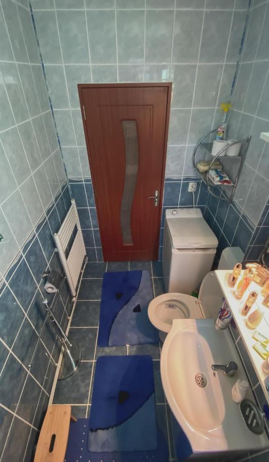 Apartament Cristian Geoagiu Băi 外观 照片