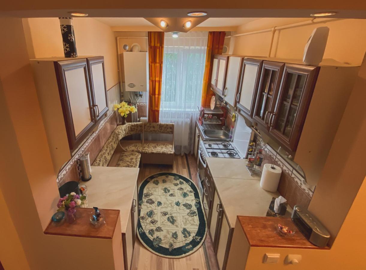 Apartament Cristian Geoagiu Băi 外观 照片