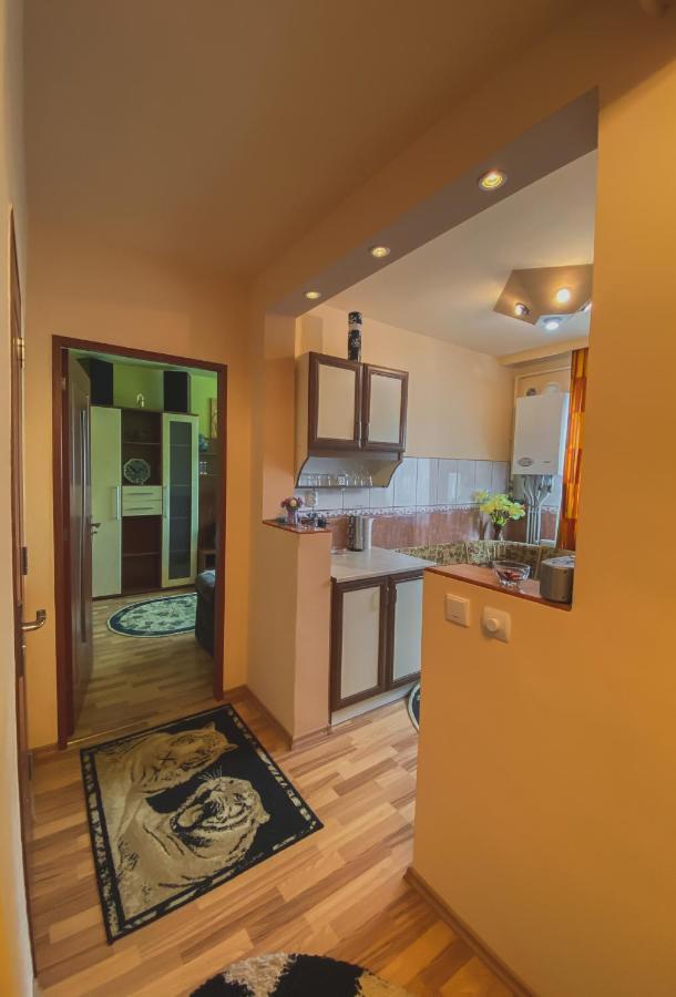Apartament Cristian Geoagiu Băi 外观 照片
