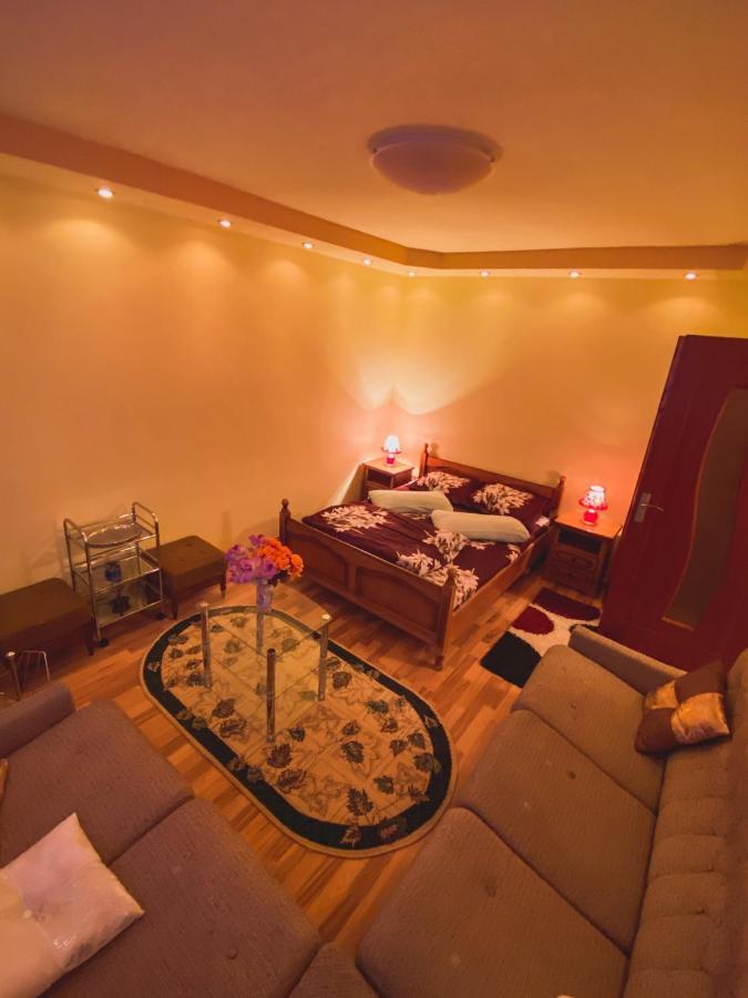 Apartament Cristian Geoagiu Băi 外观 照片