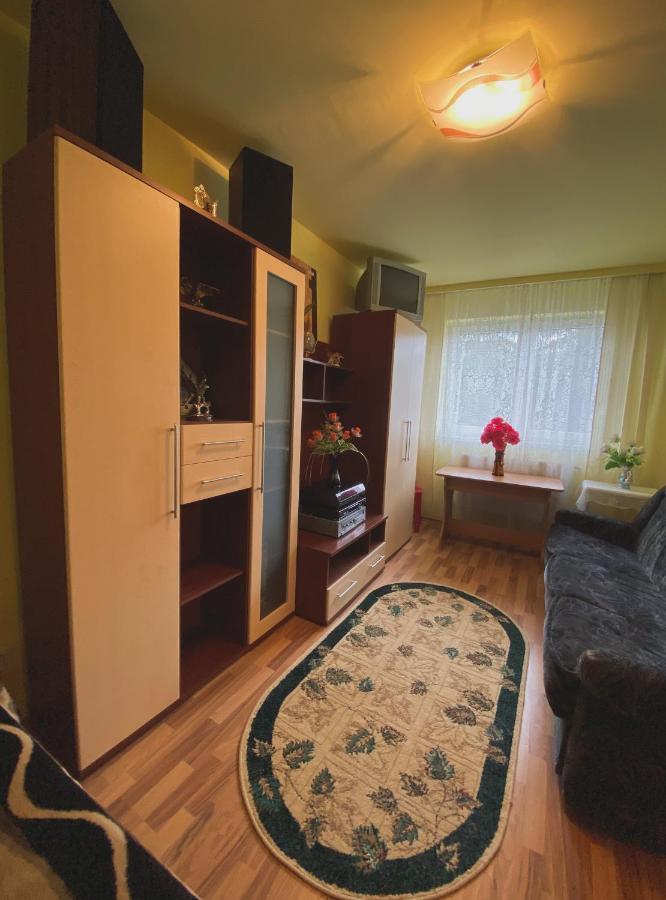 Apartament Cristian Geoagiu Băi 外观 照片