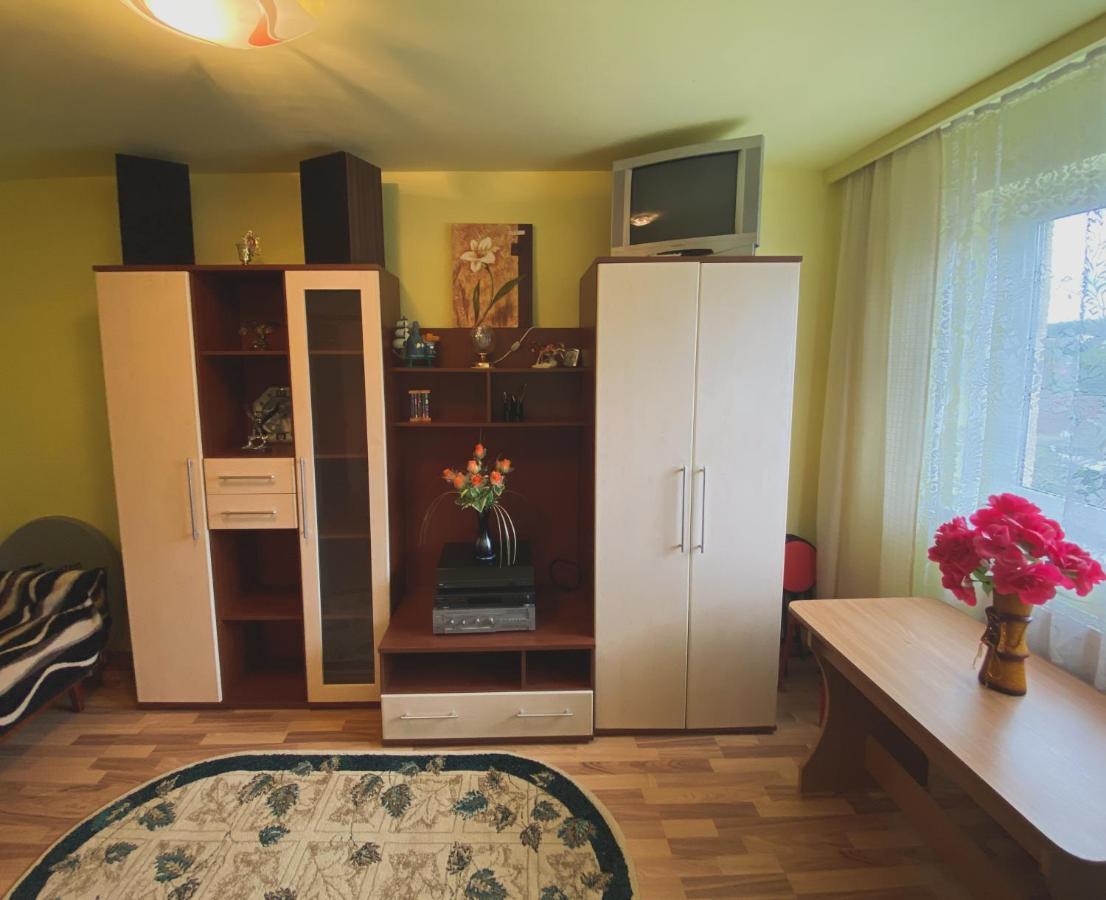 Apartament Cristian Geoagiu Băi 外观 照片